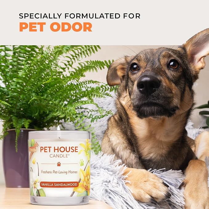 Pet House Fall Candles, Long Lasting, Clean Burning, Soy Wax Scented Candles for Pet Odor, Orange Spice, 2 Pack, alternate