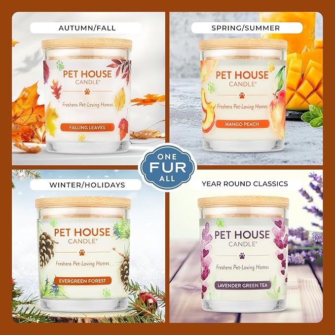 Pet House Fall Candles, Long Lasting, Clean Burning, Soy Wax Scented Candles for Pet Odor, Pumpkin Spice in, alternate view 4