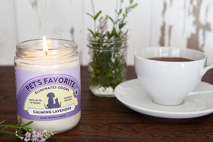 Pet Odor Candle, Clean Burning, Long Lasting Scented Candles with a Cotton Wick. (Calming Lavender/French Vanilla, Pack of