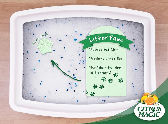 Pet Odor Control Paws for Litter, Outdoor Fresh, 6-Count, Pack of 2, alternate product view 3