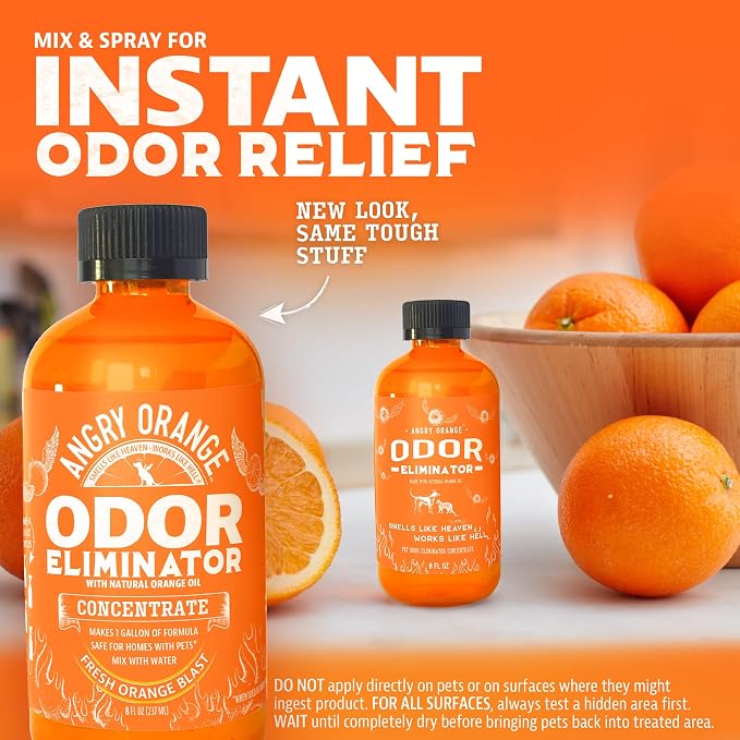 Pet Odor Eliminator – Citrus Concentrate (8 oz, Makes 128 oz) + 1 Gallon Cleaner for Dog and Cat Urine, Stains, alternate