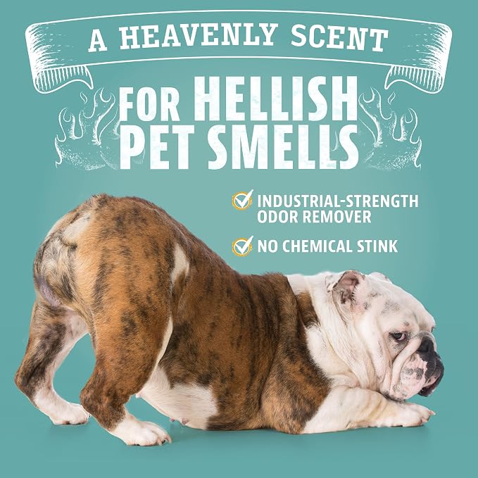 Pet Odor Eliminator – Citrus Concentrate (8 oz, Makes 128 oz) + 1 Gallon Cleaner for Dog and Cat Urine, Stains, alternate