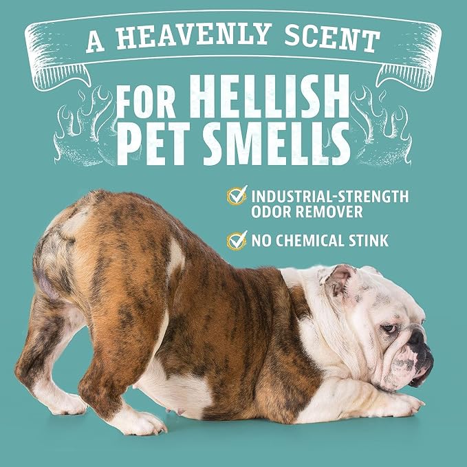 Pet Odor Eliminator for Dog and Cat Urine, Carpet Stains, and Strong Smells – Citrus Cleaner with Natural Orange, alternate