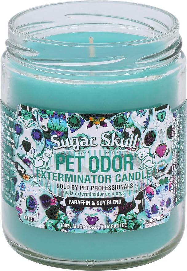 Pet Odor Exterminator Candle, Sugar Skull - Pack of 2 in Sugar Skull.