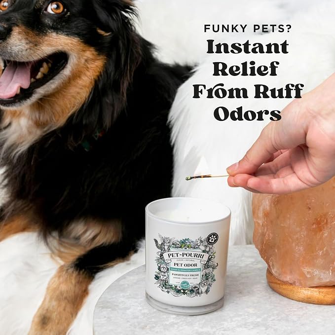 Pet- Pawsitively Fresh Pet Odor Deodorizer Candle, Burns Up to 45 Hours, Aromatherapy & Air Freshener with Essential