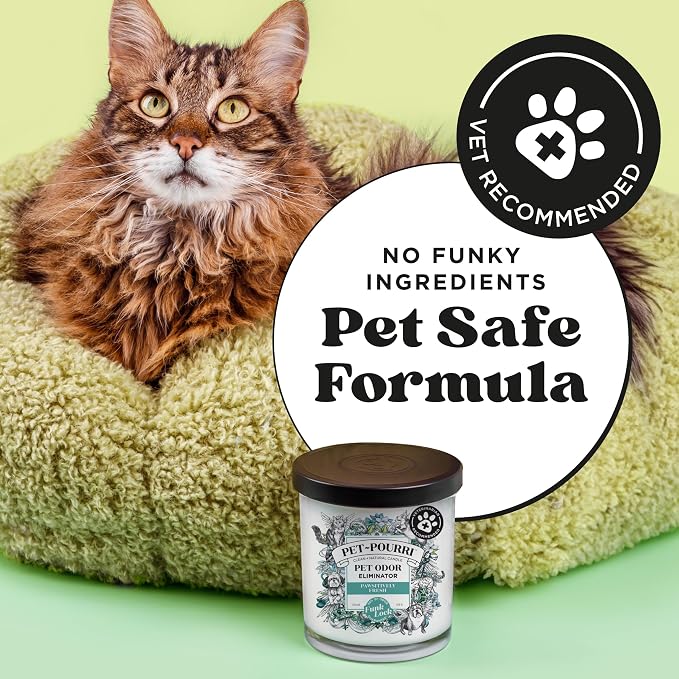 Pet- Pawsitively Fresh Pet Odor Deodorizer Candle, Burns Up to 45 Hours, Aromatherapy & Air Freshener with Essential