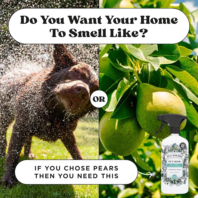 Pet- Pawsitively Fresh Pet Odor Deodorizer Candle, Burns Up to 45 Hours, Aromatherapy & Air Freshener with Essential