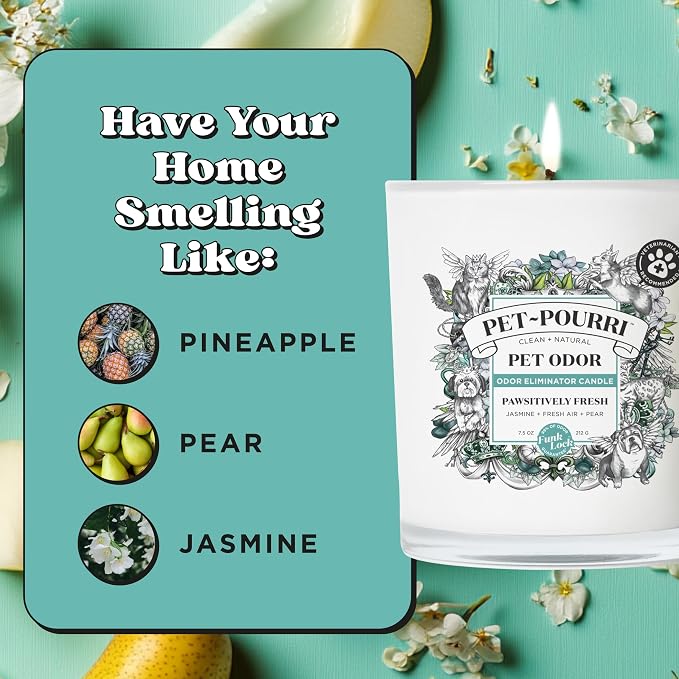 Pet- Pawsitively Fresh Pet Odor Deodorizer Candle, Burns Up to 45 Hours, Aromatherapy & Air Freshener with Essential
