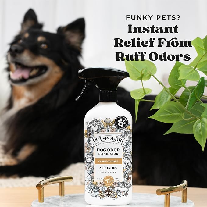 Pet- Pet Odor Air + Fabric Odor Eliminator Spray, Canine Coconut, 16 Fl Oz, alternate product view 2