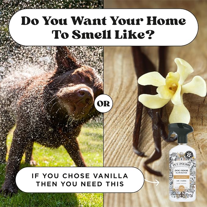 Pet- Pet Odor Air + Fabric Odor Eliminator Spray, Canine Coconut, 16 Fl Oz, alternate product view 9