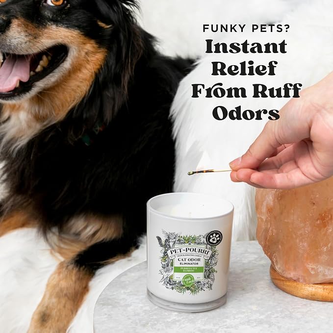 Pet- Purrfectly Bamboo Cat Deodorizer Candle – Cat Safe Plant Based Ingredients & Wax – Vet Approved – Aromatherapy &