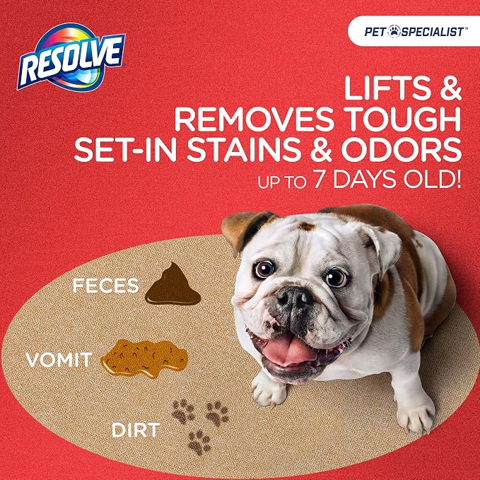 Pet Specialist Heavy Traffic Foam Carpet Cleaner, Pet Stain & Odor Remover, 22 oz Cans, 2 Pack, alternate product view 2