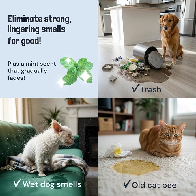 Pet Stain and Odor Remover - Enzyme Cleaner for Dog Urine and Poop on Carpets and Furniture, alternate product view 4