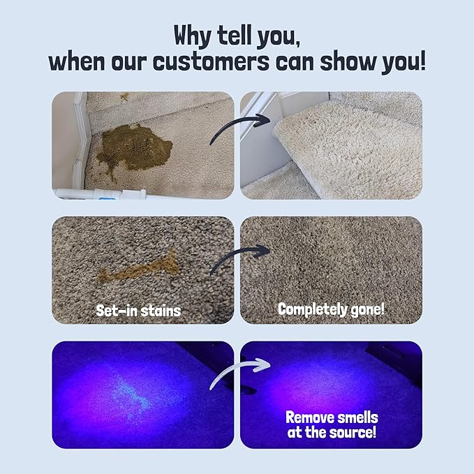 Pet Stain and Odor Remover - Enzyme Cleaner for Dog Urine and Poop on Carpets and Furniture, alternate product view 2