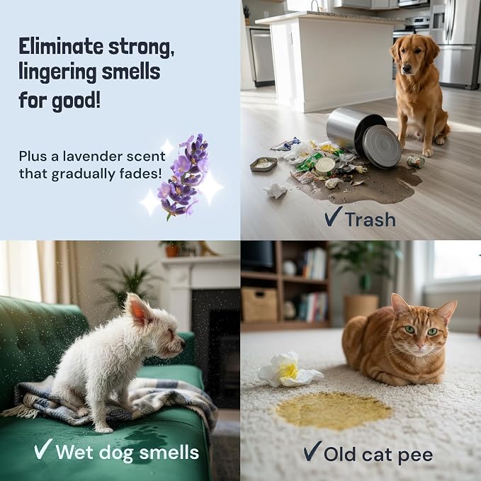 Pet Stain and Odor Remover - Enzyme Cleaner for Dog Urine and Poop on Carpets and Furniture, alternate product view 4