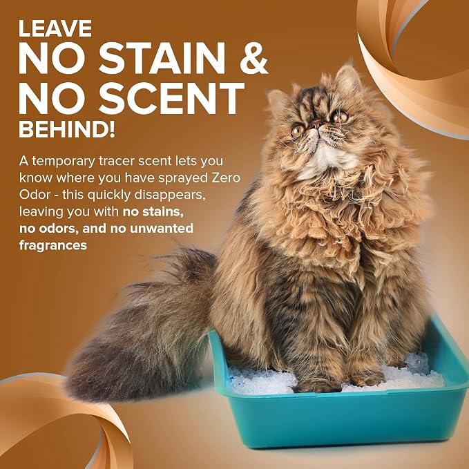 Pet Stain Remover & Odor Eliminator - Permanently Remove Stain & Odor with Patented Technology for Carpet, alternate product