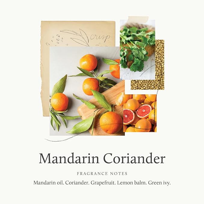 Petite Reed Diffuser - 4 Fl Oz - Mandarin Coriander, alternate product view 3