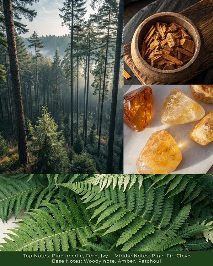 Pine Forest Scented Candles - 100% Natural Soy Wax - Large 3 Wick Jar Candle - Up to 50 Hours Burning Time, alternate product