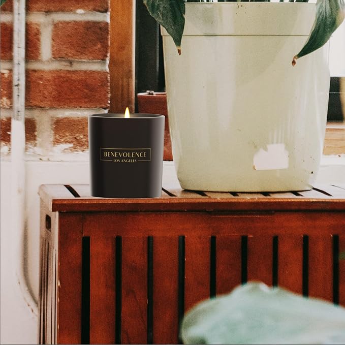 Pine Scented Candle | Soy Christmas Candles, Black Candle for Home | Holiday Candles Gifts for Women and Men |, alternate