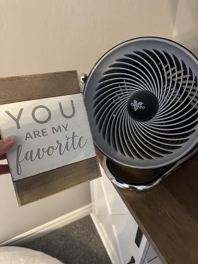 Pivot3 Compact Air Circulator Fan with Pivoting Axis, 3 Speed Settings, Removable Grill for Cleaning, Perfect for Home