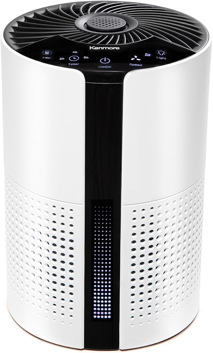 PM1010 Air Purifiers for Bedroom Up to 348 Sq.Foot with H13 True HEPA Filter, Child Lock, Sleep Mode for Small Rooms, product