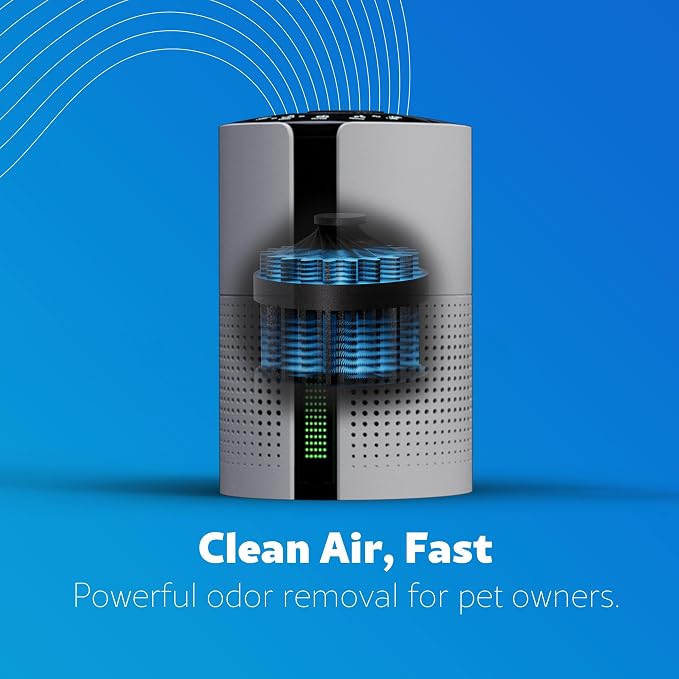 PM1010 Air Purifiers for Bedroom Up to 348 Sq.Foot with H13 True HEPA Filter, Child Lock, Sleep Mode for Small Rooms