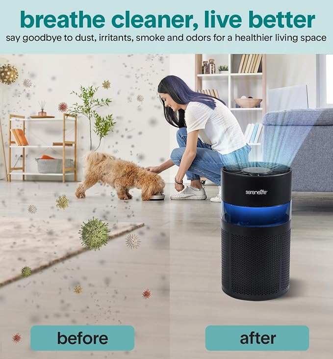 Portable Air Purifier | Small Air Purifier For Home, Allergies, Pet Hair & Bedrooms | Filter Change Reminder & Aroma Box |