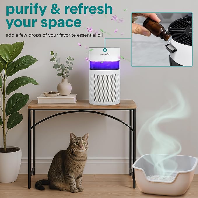 Portable Air Purifier - Small Air Purifier with Aroma Box & Ambient Light, High Filtration Efficiency, 2-Speed, alternate