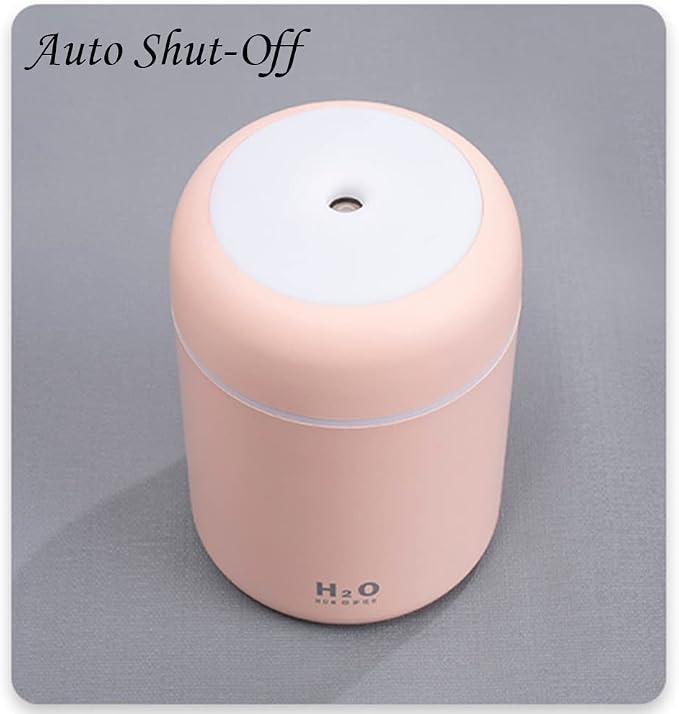 Portable Mini Humidifier, 300ml with Colorful LED Night Light, USB Personal Desktop Humidifier for Car Office Home Travel