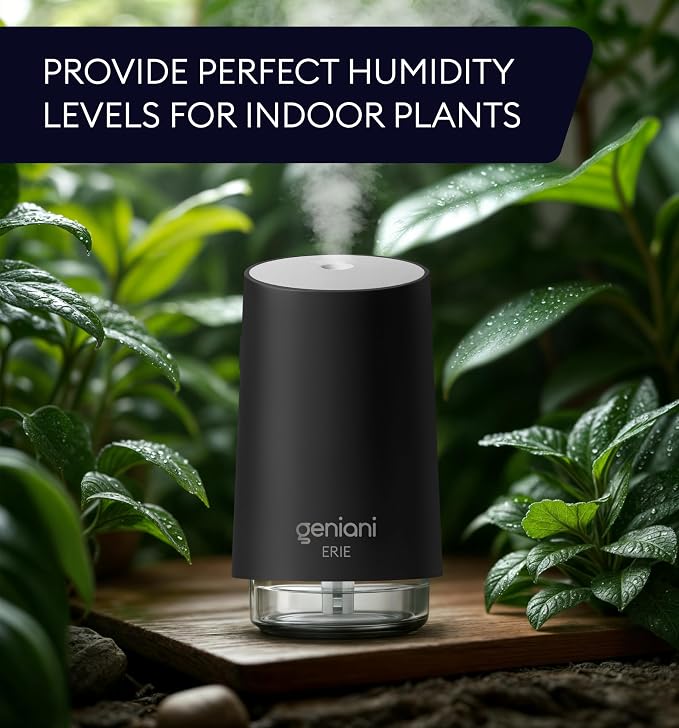 Portable Small Cool Mist Humidifier – USB Powered (Not Rechargeable), Compact Desktop Humidifier for Plants, Office
