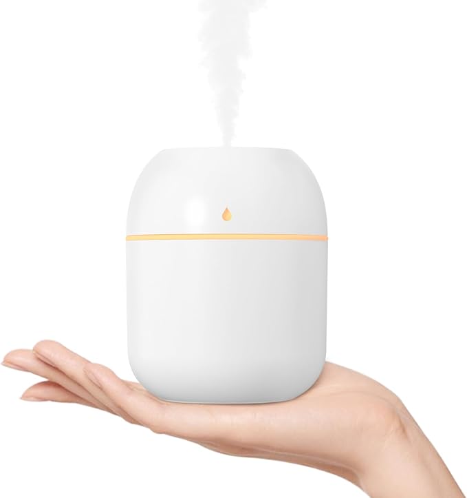 Portable Small Humidifier, USB Personal Desktop Humidifier for Car, Office Room, Bedroom, Auto Shut-Off, 2 Mist Modes, Super