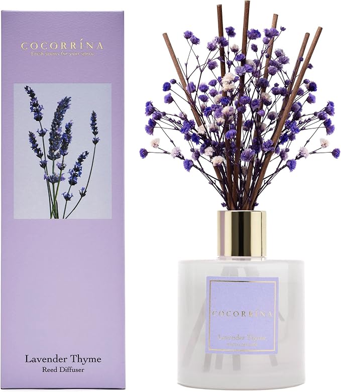 Premium Reed Diffuser Set with Preserved Baby's Breath & Cotton Stick Lavender Thyme | 6.76 Fl.oz Scent Diffuser for Bedroom
