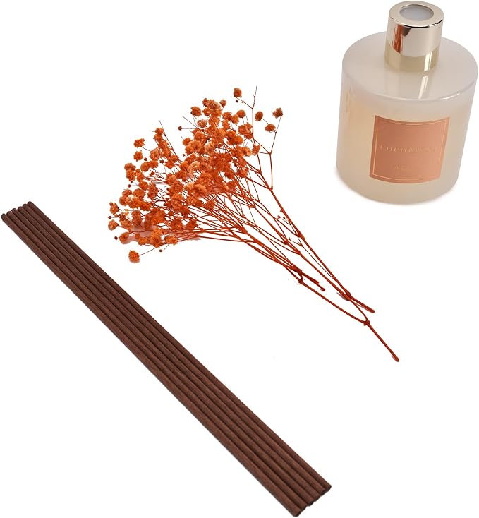 Premium Reed Diffuser Set with Preserved Baby's Breath & Cotton Stick Coconut Lime | 6.7oz Scent Fragrance Oil Diffuser for