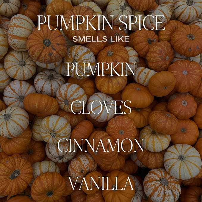 Pumpkin Spice Reed Diffuser Set for Home - Pumpkin, Cloves, Cinnamon, Vanilla Scented Reed Diffusers for Fall, alternate