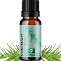 Pure Rosemary Essential Oil for Aromatherapy - Undiluted Rosemary Oil for Hair Skin and Nails, product image
