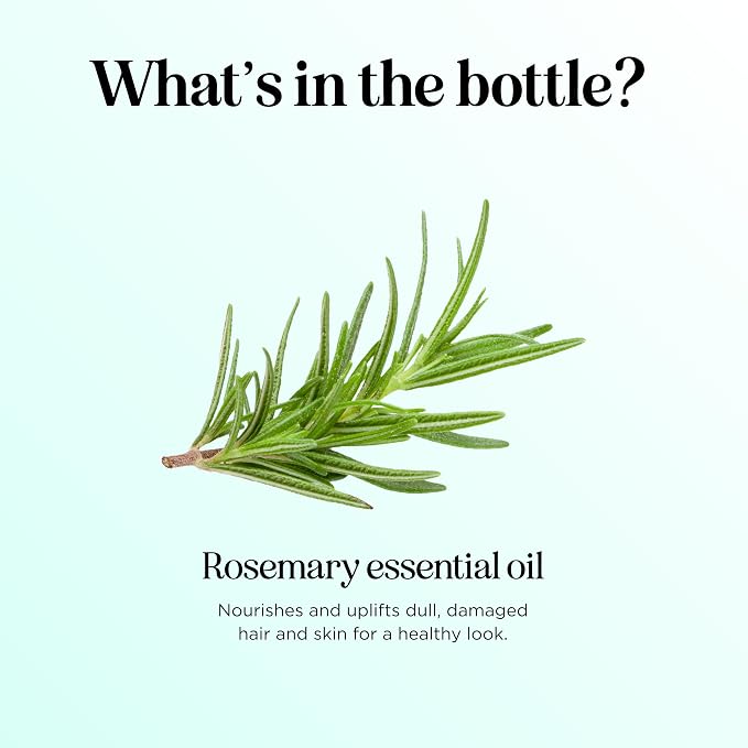 Pure Rosemary Essential Oil for Aromatherapy - Undiluted Rosemary Oil for Hair Skin and Nails, alternate product view 6