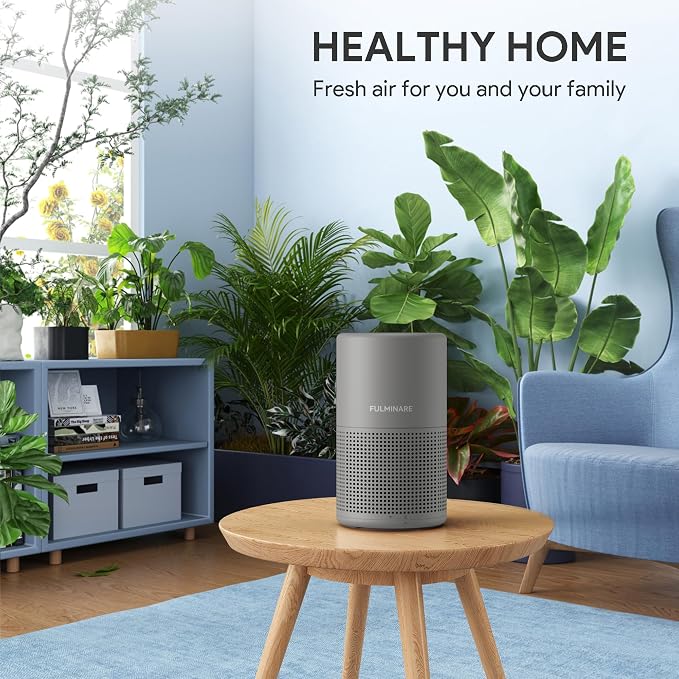 Air Purifiers for Home H13 True HEPA Air Filter Quiet Air Cleaner With Night Light Portable Small Air