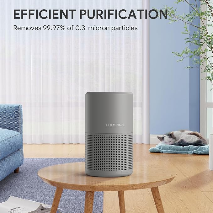Air Purifiers for Home H13 True HEPA Air Filter Quiet Air Cleaner With Night Light Portable Small Air