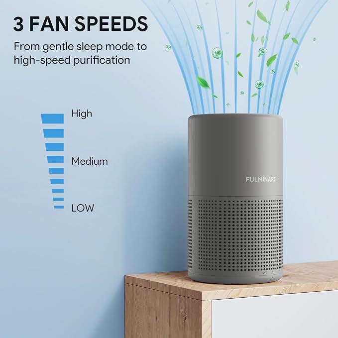 Air Purifiers for Home H13 True HEPA Air Filter Quiet Air Cleaner With Night Light Portable Small Air