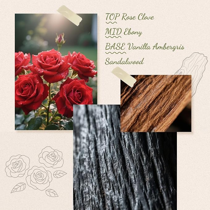 Reed Diffuser, 6.09 oz Ebony Rose Scent Diffuser with Sticks & Dried Flowers, 120 Days Long Lasting Reed diffusers for Home