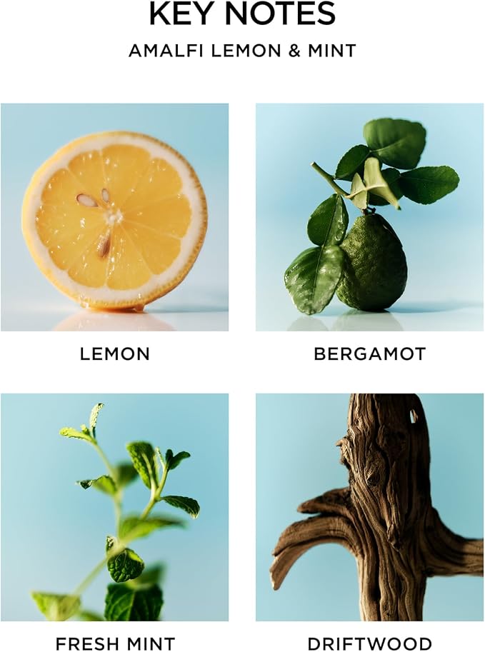 Reed Diffuser, Amalfi Lemon & Mint - 5.9 fl oz - Fragrance for Up to 90 Days - Reusable, Refillable Glass Holder, alternate
