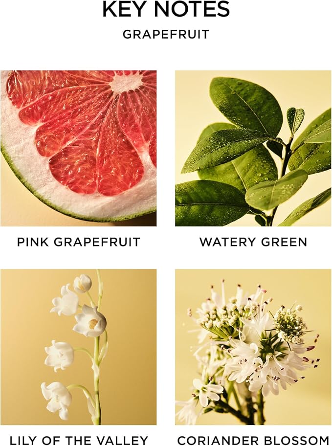 Reed Diffuser, Grapefruit - 5.9 fl oz - Fragrance for Up to 90 Days - Reusable, Refillable Glass Holder, alternate product