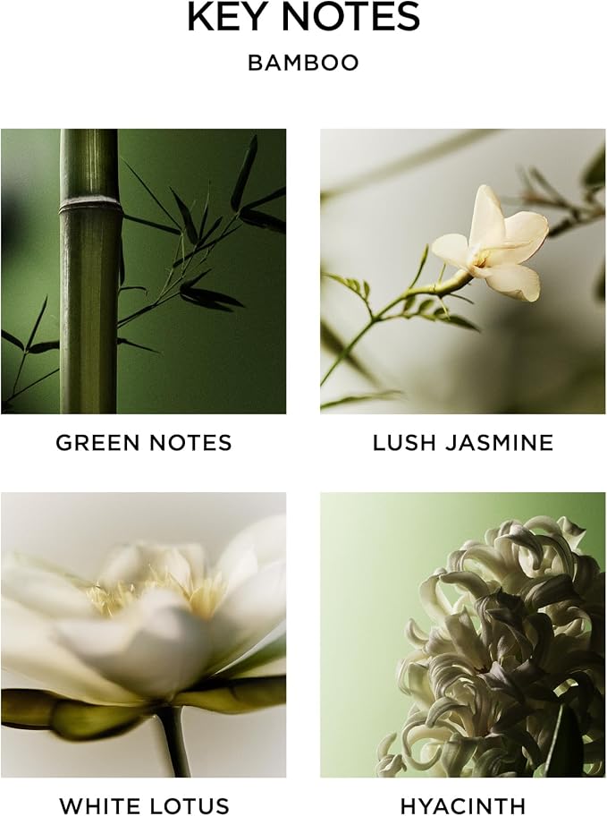 Reed Diffuser Liquid Refill, Bamboo - 5.9 fl oz - Fragrance for Up to 90 Days - Flame Free, alternate product view 4