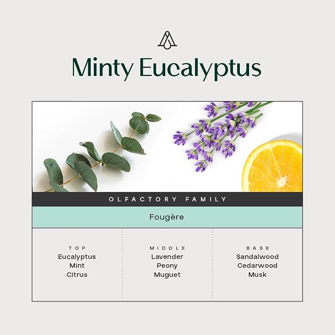 Reed Diffuser, Minty Eucalyptus Scent Diffuser (8.45 fl oz, 250ml)- Luxury Reed Diffusers Set for Home- Includes Reed