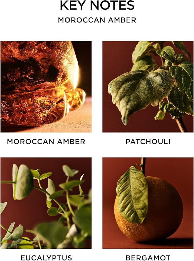 Reed Diffuser, Moroccan Amber - 5.9 fl oz - Fragrance for Up to 90 Days - Reusable, Refillable Glass Holder, alternate