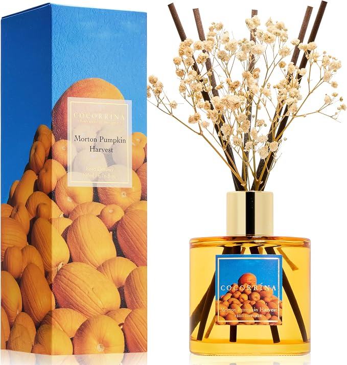Reed Diffuser - Morton Pumpkin Harvest Reed Diffuser Set with 8 Sticks & Preserved Baby's Breath, product image
