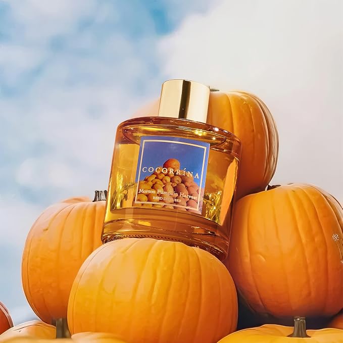 Reed Diffuser - Morton Pumpkin Harvest Reed Diffuser Set with 8 Sticks & Preserved Baby's Breath, alternate product view 3