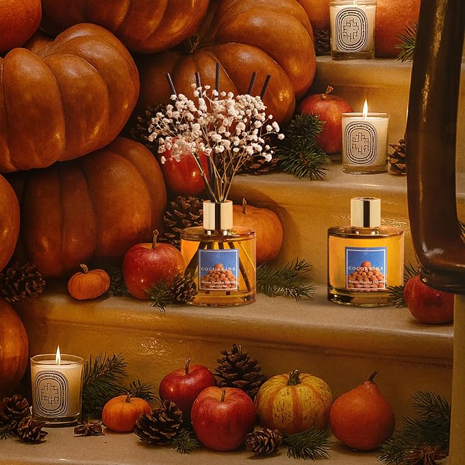 Reed Diffuser - Morton Pumpkin Harvest Reed Diffuser Set with 8 Sticks & Preserved Baby's Breath, alternate product view 5