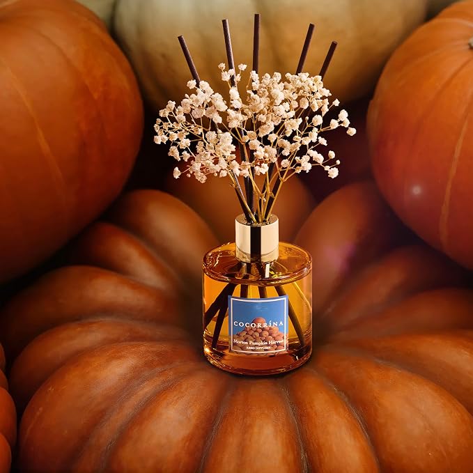 Reed Diffuser - Morton Pumpkin Harvest Reed Diffuser Set with 8 Sticks & Preserved Baby's Breath, alternate product view 6