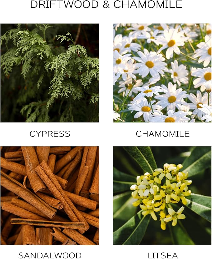 Reed Diffuser Oil Refill with Diffuser Sticks, 6.76 Fl Oz(200ml) Chamomile Wood Scented Oils, Aroma relaxation, alternate